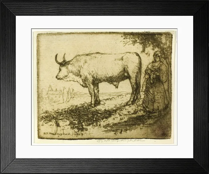Framed Print : The White Ox, 1905. Creator: Donald Shaw MacLaughlan Framed Print : The White Ox, 1905. Creator: Donald Shaw MacLaughlan