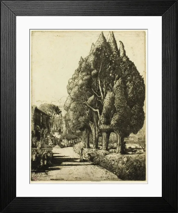 Framed Print : The Cypress Grove, 1904. Creator: Donald Shaw MacLaughlan Framed Print : The Cypress Grove, 1904. Creator: Donald Shaw MacLaughlan