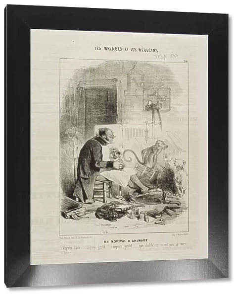 An Animal Hospital (plate 20), 1843. Creator: Charles Emile Jacque