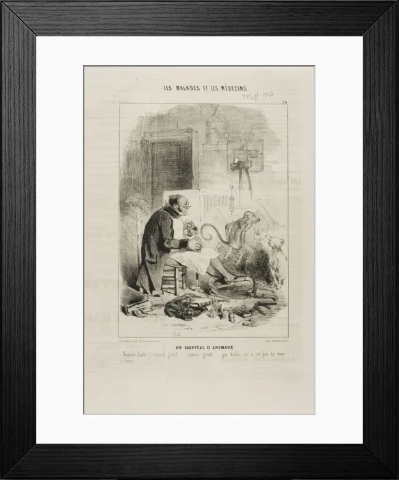 Framed Print : An Animal Hospital (plate 20), 1843. Creator: Charles Emile Jacque Framed Print : An Animal Hospital (plate 20), 1843. Creator: Charles Emile Jacque