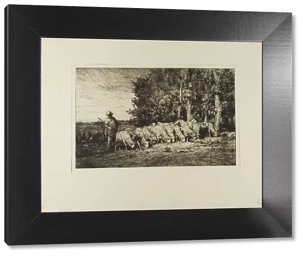 Flock of Sheep at the Edge of a Wood, 1877. Creator: Charles Emile Jacque