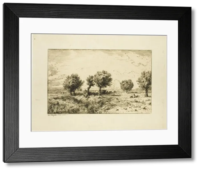 Framed Print : Willows in a Landscape, 1844. Creator: Charles Emile Jacque Framed Print : Willows in a Landscape, 1844. Creator: Charles Emile Jacque