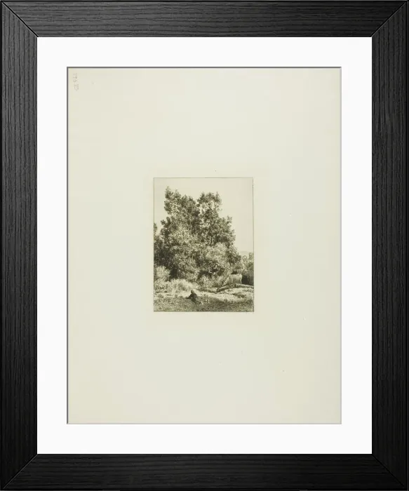 Framed Print : Landscape with Cowherd, c. 1865. Creator: Charles Emile Jacque Framed Print : Landscape with Cowherd, c. 1865. Creator: Charles Emile Jacque