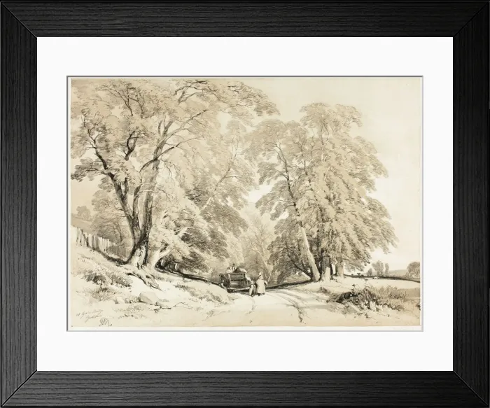Framed Print : Ash, from The Park and the Forest, 1841. Creator: James Duffield Harding Framed Print : Ash, from The Park and the Forest, 1841. Creator: James Duffield Harding
