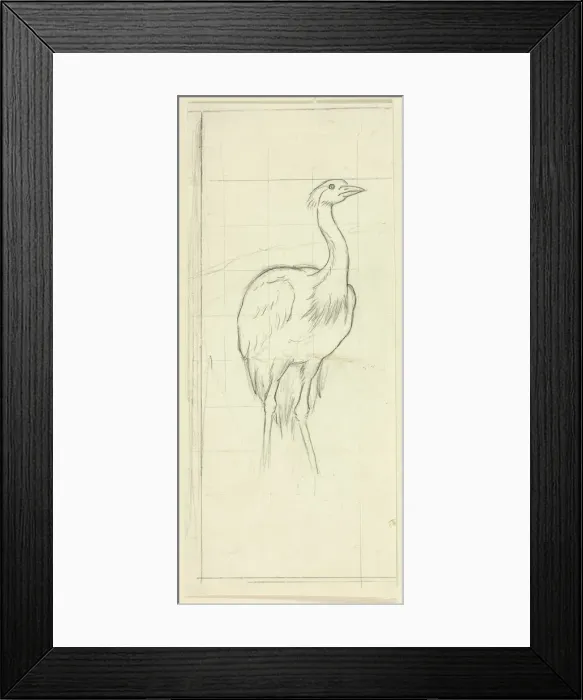 Framed Print : Standing Bird, n. d. Creator: Henry Stacy Marks Framed Print : Standing Bird, n. d. Creator: Henry Stacy Marks