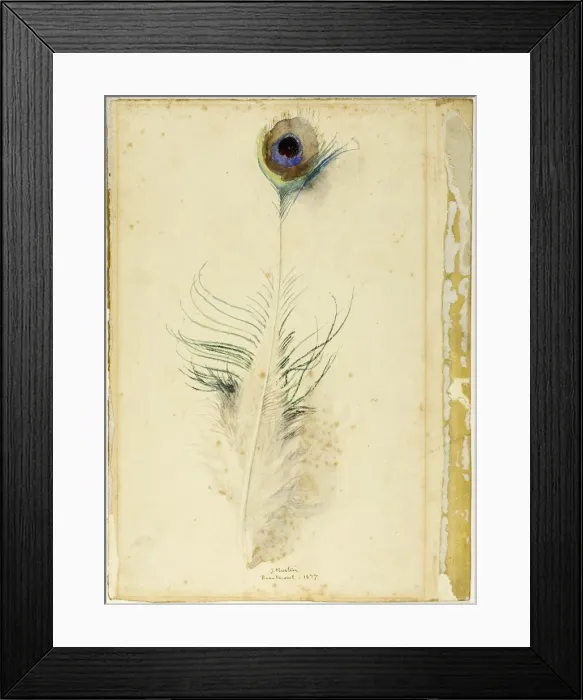 Framed Print : Peacock Feather, 1877. Creator: John Ruskin Framed Print : Peacock Feather, 1877. Creator: John Ruskin
