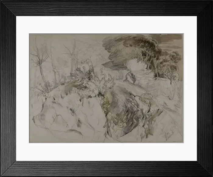 Framed Print : Shrubs and Trees in Rocky Landscape, c. 1845. Creator: John Ruskin Framed Print : Shrubs and Trees in Rocky Landscape, c. 1845. Creator: John Ruskin