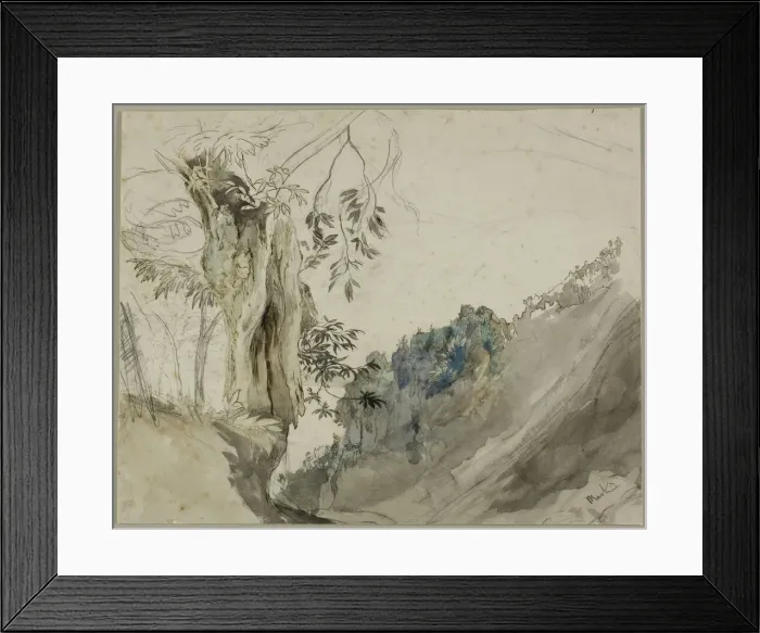 Framed Print : Spanish Chestnut, n. d. Creator: John Ruskin Framed Print : Spanish Chestnut, n. d. Creator: John Ruskin