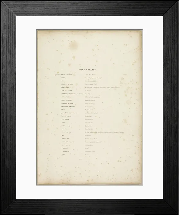 Framed Print : List of Plates, from The Park and the Forest, 1841. Creator: James Duffield Harding Framed Print : List of Plates, from The Park and the Forest, 1841. Creator: James Duffield Harding
