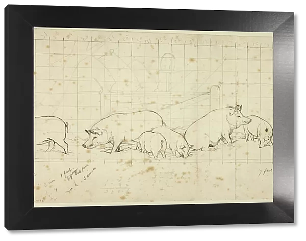 Pigs, n. d. Creator: Henry Stacy Marks