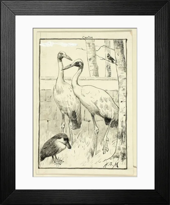 Framed Print : Four Birds in Landscape, n. d. Creator: Henry Stacy Marks Framed Print : Four Birds in Landscape, n. d. Creator: Henry Stacy Marks