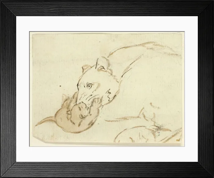Framed Print : Five Sketches of Lions: Lioness with Cub, n. d. Creator: Henry Stacy Marks Framed Print : Five Sketches of Lions: Lioness with Cub, n. d. Creator: Henry Stacy Marks