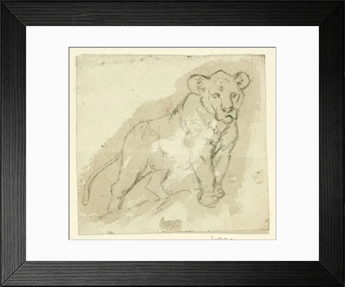 Framed Print : Five Sketches of Lions: Standing Cub, n. d. Creator: Henry Stacy Marks Framed Print : Five Sketches of Lions: Standing Cub, n. d. Creator: Henry Stacy Marks