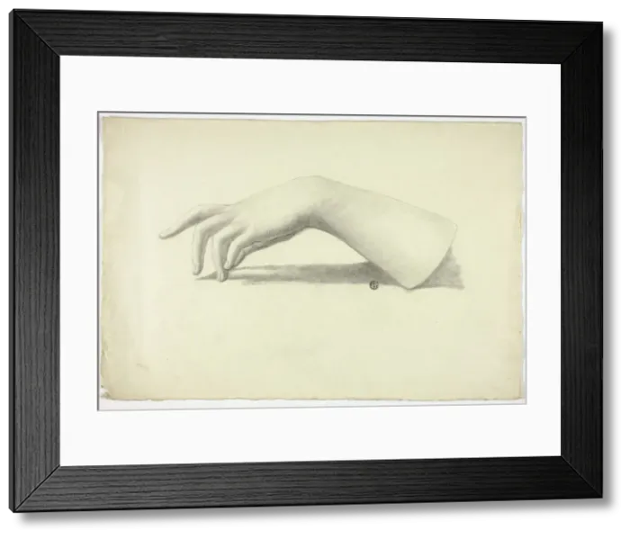 Framed Print : Left Forearm and Hand, n. d. Creator: Elizabeth Murray Framed Print : Left Forearm and Hand, n. d. Creator: Elizabeth Murray