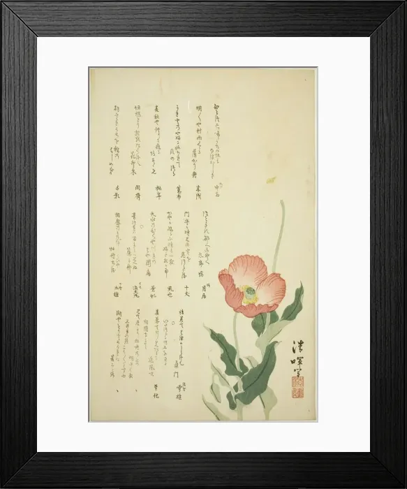 Framed Print : Two Poppies, c. early 1820s. Creator: Yokoyama Seiki Framed Print : Two Poppies, c. early 1820s. Creator: Yokoyama Seiki