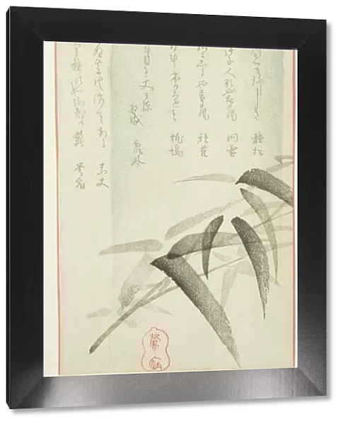 Bamboo, 1854. Creator: Yagi Oshuku