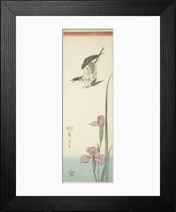 Framed Print : Cuckoo and iris, c. 1847 / 52. Creator: Ando Hiroshige Framed Print : Cuckoo and iris, c. 1847 / 52. Creator: Ando Hiroshige