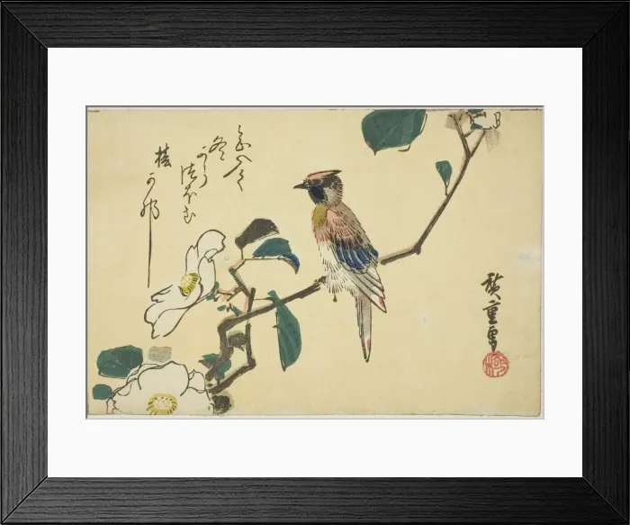Framed Print : Black-naped oriole on camellia branch, n. d. Creator: Ando Hiroshige Framed Print : Black-naped oriole on camellia branch, n. d. Creator: Ando Hiroshige