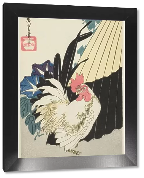 Rooster, umbrella, and morning glories, 1830s. Creator: Ando Hiroshige
