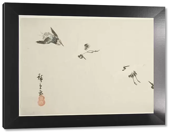 Cranes in flight, n. d. Creator: Ando Hiroshige