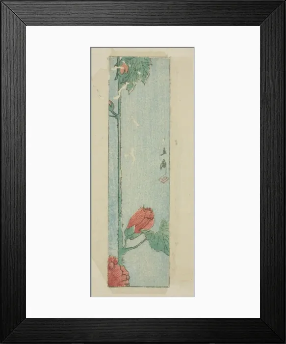 Framed Print : Envelope with hibiscus, n. d. Creator: Ando Hiroshige Framed Print : Envelope with hibiscus, n. d. Creator: Ando Hiroshige