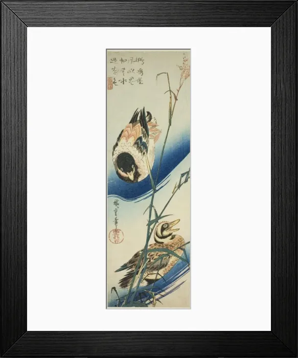 Framed Print : Two Ducks Swimming Among Reeds, c. 1834 / 39. Creator: Ando Hiroshige Framed Print : Two Ducks Swimming Among Reeds, c. 1834 / 39. Creator: Ando Hiroshige