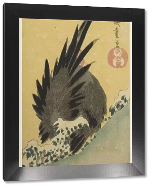 Rooster on a hillside in winter, mid-1830s. Creator: Ando Hiroshige
