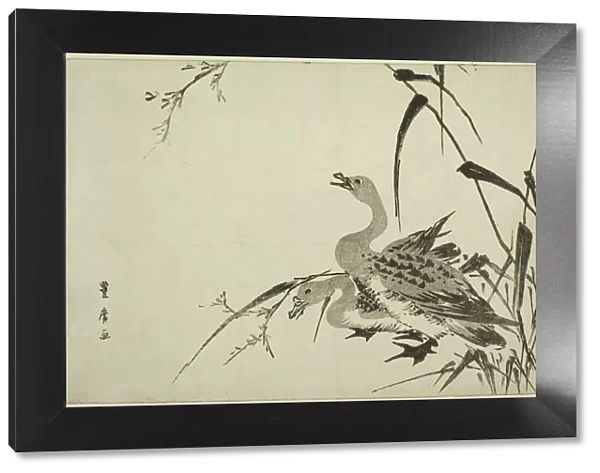 Wild Geese and Reeds, c. 1810. Creator: Utagawa Toyohiro