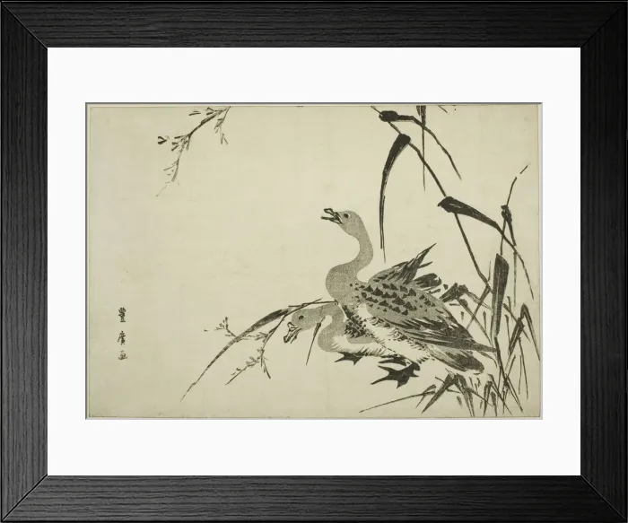 Framed Print : Wild Geese and Reeds, c. 1810. Creator: Utagawa Toyohiro Framed Print : Wild Geese and Reeds, c. 1810. Creator: Utagawa Toyohiro