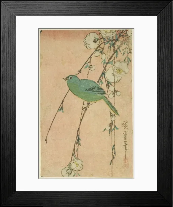 Framed Print : Japanese white-eye and weeping cherry, c. 1830s. Creator: Ando Hiroshige Framed Print : Japanese white-eye and weeping cherry, c. 1830s. Creator: Ando Hiroshige