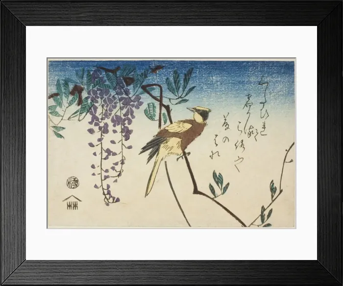 Framed Print : Black-naped oriole and wisteria, n. d. Creator: Ando Hiroshige Framed Print : Black-naped oriole and wisteria, n. d. Creator: Ando Hiroshige