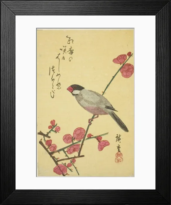 Framed Print : Java sparrow on plum branch, 1830s. Creator: Ando Hiroshige Framed Print : Java sparrow on plum branch, 1830s. Creator: Ando Hiroshige