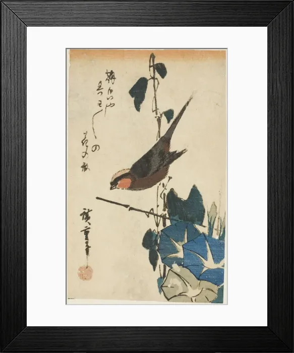 Framed Print : Sparrow and morning glories, n. d. Creator: Ando Hiroshige Framed Print : Sparrow and morning glories, n. d. Creator: Ando Hiroshige