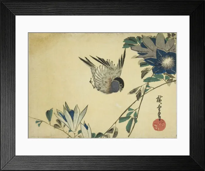 Framed Print : Bullfinch and clematis, 1830s. Creator: Ando Hiroshige Framed Print : Bullfinch and clematis, 1830s. Creator: Ando Hiroshige