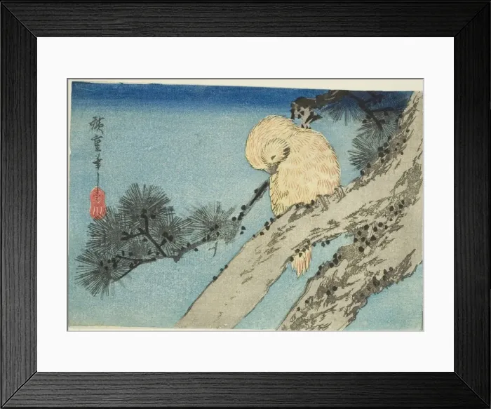 Framed Print : Owl on pine branch, 1830s. Creator: Ando Hiroshige Framed Print : Owl on pine branch, 1830s. Creator: Ando Hiroshige