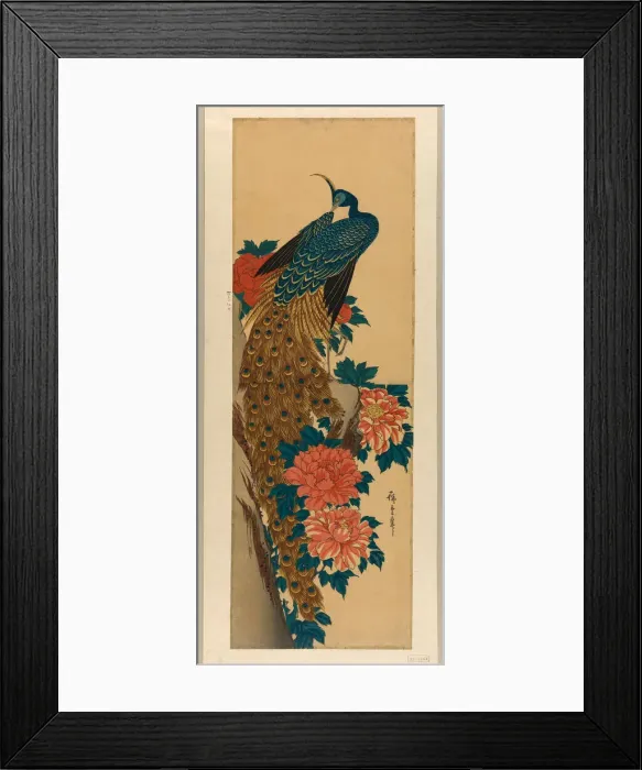 Framed Print : Peacock and peonies, early 1840s. Creator: Ando Hiroshige Framed Print : Peacock and peonies, early 1840s. Creator: Ando Hiroshige
