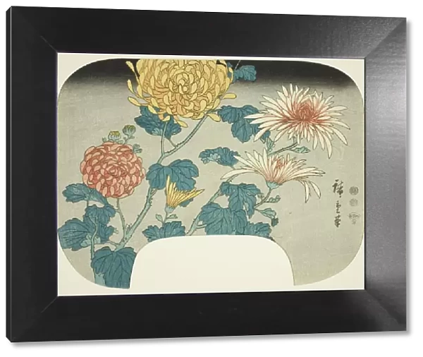 Chrysanthemums, c. 1840s. Creator: Ando Hiroshige