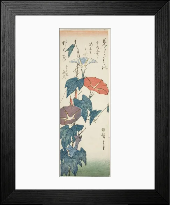 Framed Print : Morning Glories, c. 1840s. Creator: Ando Hiroshige Framed Print : Morning Glories, c. 1840s. Creator: Ando Hiroshige