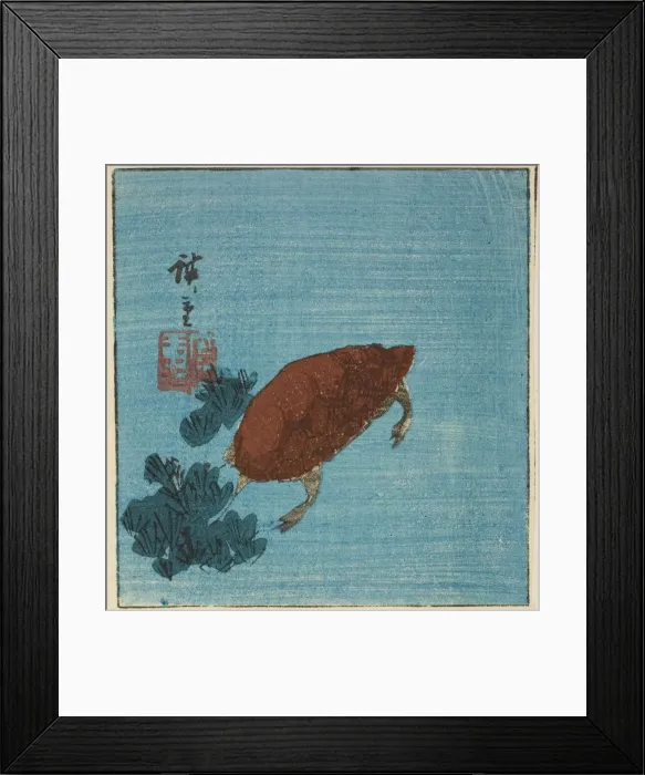 Framed Print : Turtle, c. 1840s. Creator: Ando Hiroshige Framed Print : Turtle, c. 1840s. Creator: Ando Hiroshige