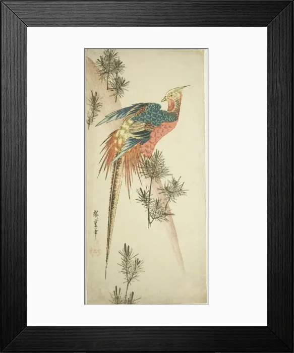Framed Print : Golden pheasant and pine shoots in snow, c. 1833. Creator: Ando Hiroshige Framed Print : Golden pheasant and pine shoots in snow, c. 1833. Creator: Ando Hiroshige