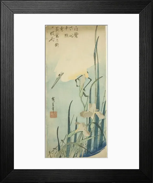 Framed Print : White heron and iris, c. 1832 / 34. Creator: Ando Hiroshige Framed Print : White heron and iris, c. 1832 / 34. Creator: Ando Hiroshige