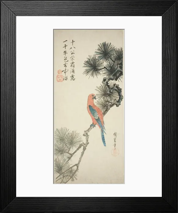 Framed Print : Macaw on a pine branch, c. 1835. Creator: Ando Hiroshige Framed Print : Macaw on a pine branch, c. 1835. Creator: Ando Hiroshige