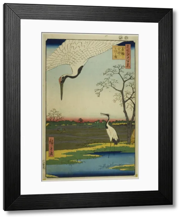 Framed Print : Minowa, Kanasugi, Mikawashima, from the series One Hundred Famous Views of Edo (Meisho... 1857. Creator: Ando Hiroshige. Minowa, Kanasugi, Mikawashima, from the series One Hundred Famous Views of Edo (Meisho... 1857. Creator: Ando Hiroshige) Framed Print : Minowa, Kanasugi, Mikawashima, from the series One Hundred Famous Views of Edo (Meisho... 1857. Creator: Ando Hiroshige. Minowa, Kanasugi, Mikawashima, from the series One Hundred Famous Views of Edo (Meisho... 1857. Creator: Ando Hiroshige)