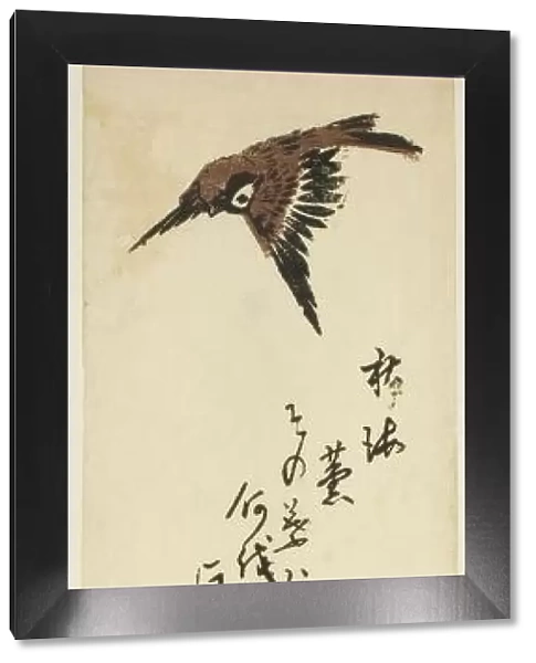 Sparrow flying over begonias, mid-1840s. Creator: Ando Hiroshige