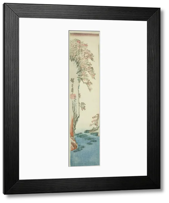 Framed Print : Trees on a cliff above a river, n. d. Creator: Ando Hiroshige Framed Print : Trees on a cliff above a river, n. d. Creator: Ando Hiroshige
