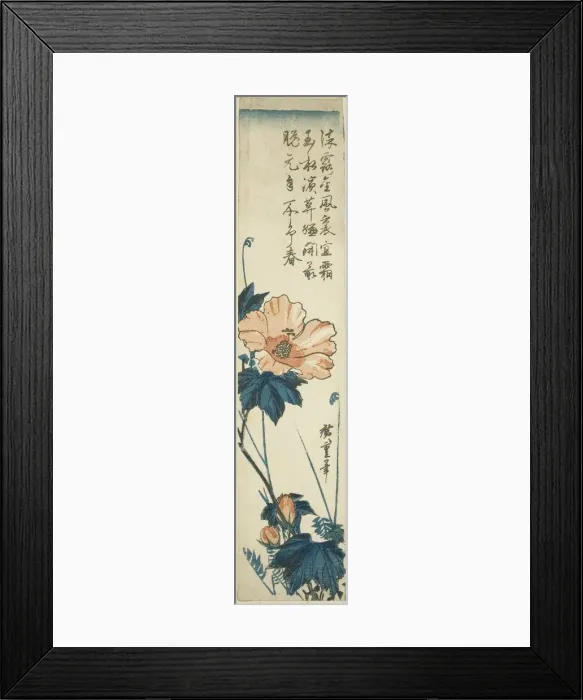 Framed Print : Hibiscus, 1830s. Creator: Ando Hiroshige Framed Print : Hibiscus, 1830s. Creator: Ando Hiroshige