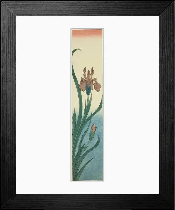Framed Print : Iris, 1840s. Creator: Ando Hiroshige Framed Print : Iris, 1840s. Creator: Ando Hiroshige