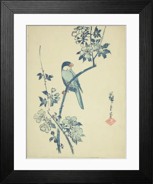 Framed Print : Java sparrow on cherry branch, c. 1830 / 44. Creator: Ando Hiroshige Framed Print : Java sparrow on cherry branch, c. 1830 / 44. Creator: Ando Hiroshige