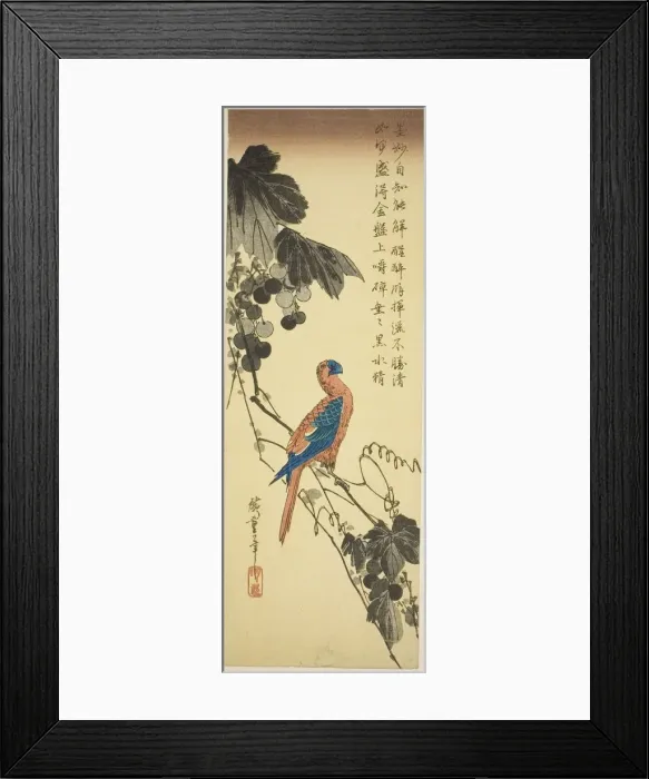 Framed Print : Parrot on a Grapevine, mid-1830s. Creator: Ando Hiroshige Framed Print : Parrot on a Grapevine, mid-1830s. Creator: Ando Hiroshige