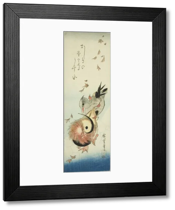 Framed Print : Mandarin ducks crossing icy pond amid falling leaves, 1830s. Creator: Ando Hiroshige Framed Print : Mandarin ducks crossing icy pond amid falling leaves, 1830s. Creator: Ando Hiroshige